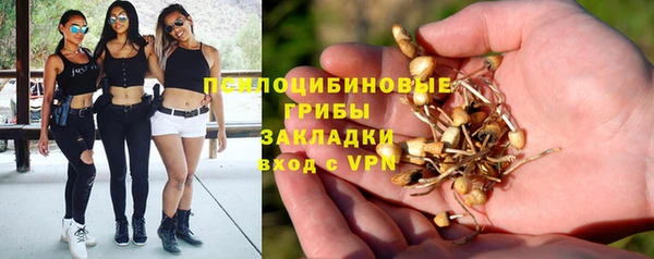 spice Балабаново