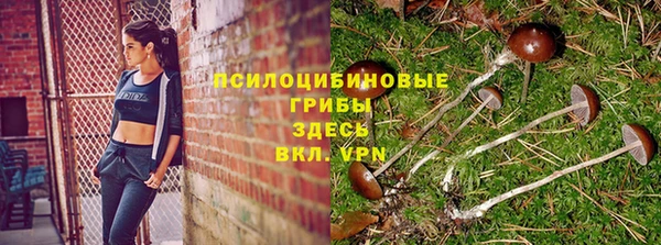 spice Балабаново